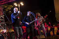 Koncert na Trgu - Tri debela psa