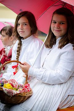 Središnja svečanost 43. Branja grojzdja