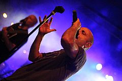 Koncert na Trgu - Hladno pivo