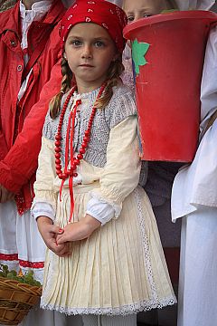 Središnja svečanost 43. Branja grojzdja