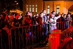 Koncert na Trgu - Tri debela psa