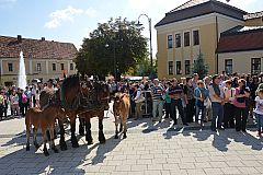 Središnja svečanost Branja grojzdja
