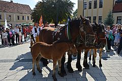 Središnja svečanost Branja grojzdja