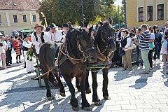 Središnja svečanost Branja grojzdja