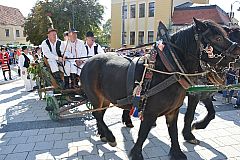 Središnja svečanost Branja grojzdja