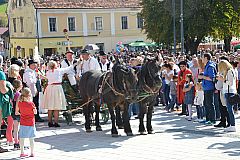 Središnja svečanost Branja grojzdja