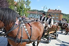 Središnja svečanost Branja grojzdja