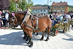 Središnja svečanost Branja grojzdja