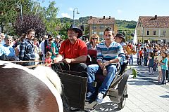 Središnja svečanost Branja grojzdja