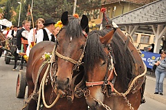 Središnja svečanost 42. Branja grojzdja