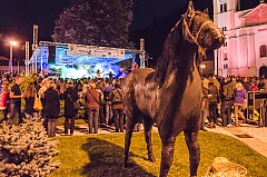Koncert Maje Šuput