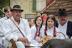 Središnja svečanost 42. Branja grojzdja