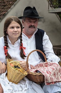 Središnja svečanost 42. Branja grojzdja