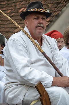 Središnja svečanost 42. Branja grojzdja