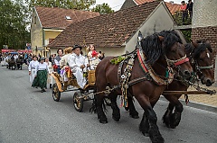 Središnja svečanost 42. Branja grojzdja