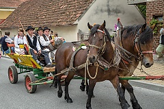 Središnja svečanost 42. Branja grojzdja