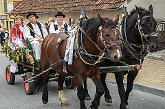 Središnja svečanost 42. Branja grojzdja