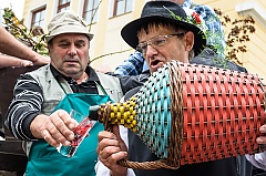 Središnja svečanost 42. Branja grojzdja