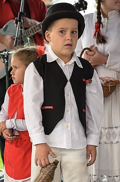 Središnja svečanost 42. Branja grojzdja
