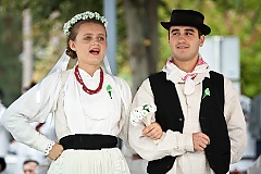 Središnja svečanost 42. Branja grojzdja