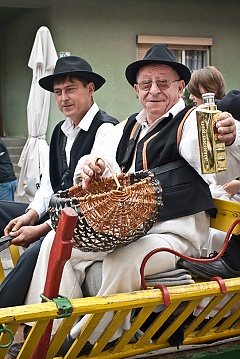 Središnja svečanost 42. Branja grojzdja