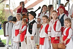 Središnja svečanost 42. Branja grojzdja